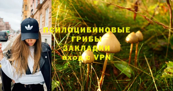 шишки Заволжск