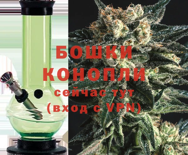 гидра Горно-Алтайск