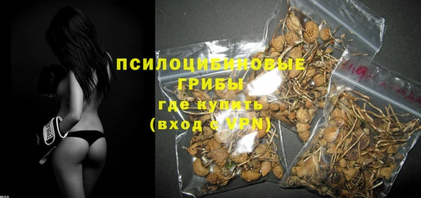 прущая мука Богородицк