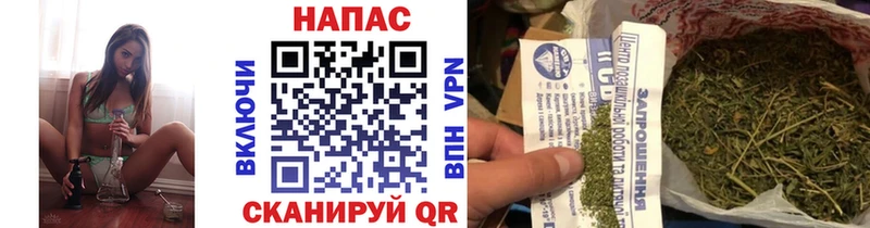 купить  сайты  Богданович  Марихуана Bruce Banner 